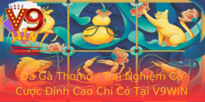 Đá Gà Thomo - Trải Nghiệm Cá Cược Đỉnh Cao Chỉ Có Tại V9WIN 7 A Ga Thomo Trai Nghiem Ca Cuoc Inh Cao Chi Co Tai V9Win