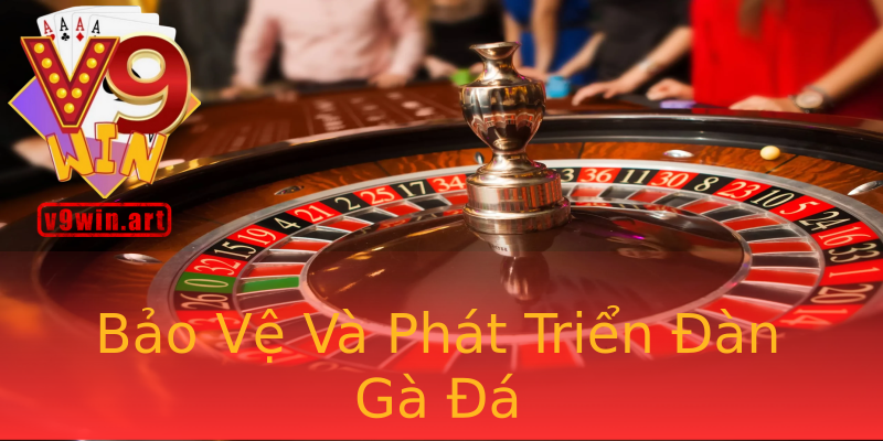Bảo Vệ Và Phát Triển Đàn Gà Đá Bảo Vệ Và Phát Triển Đàn Gà Đá