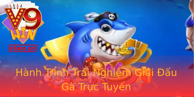 Hành Trình Trải Nghiệm Giải Đấu Gà Trực Tuyến Hành Trình Trải Nghiệm Giải Đấu Gà Trực Tuyến