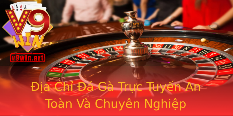 Địa Chỉ Đá Gà Trực Tuyến An Toàn Và Chuyên Nghiệp Địa Chỉ Đá Gà Trực Tuyến An Toàn Và Chuyên Nghiệp