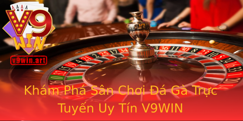 Khám Phá Sân Chơi Đá Gà Trực Tuyến Uy Tín V9WIN Khám Phá Sân Chơi Đá Gà Trực Tuyến Uy Tín V9WIN