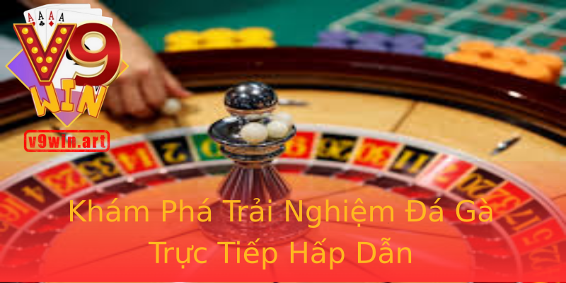Khám Phá Trải Nghiệm Đá Gà Trực Tiếp Hấp Dẫn Khám Phá Trải Nghiệm Đá Gà Trực Tiếp Hấp Dẫn