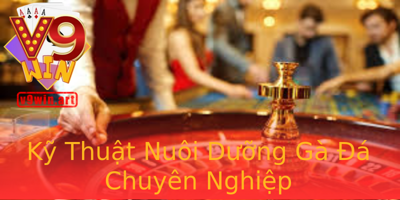 Kỹ Thuật Nuôi Dưỡng Gà Đá Chuyên Nghiệp Kỹ Thuật Nuôi Dưỡng Gà Đá Chuyên Nghiệp