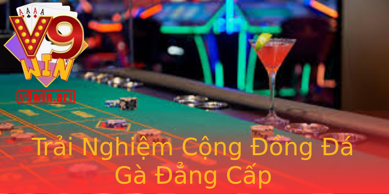 Trải Nghiệm Cộng Đồng Đá Gà Đẳng Cấp Trải Nghiệm Cộng Đồng Đá Gà Đẳng Cấp