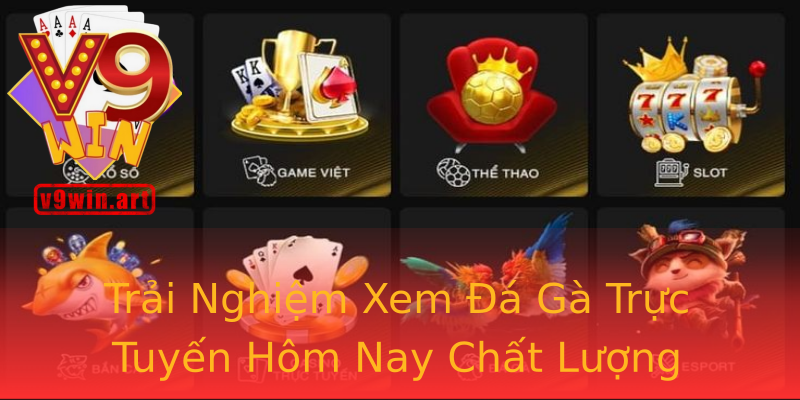 Trải Nghiệm Xem Đá Gà Trực Tuyến Hôm Nay Chất Lượng Trải Nghiệm Xem Đá Gà Trực Tuyến Hôm Nay Chất Lượng